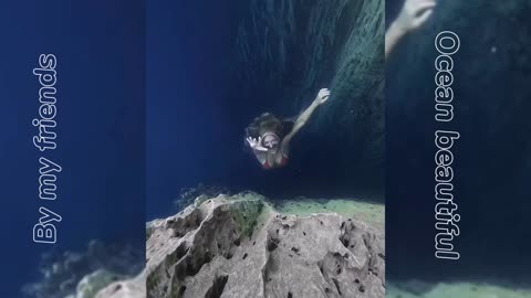 Marina Vlog | Ocean living organisms | Scuba diving 🦪🤿