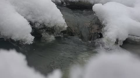 Babbling snowing water brook