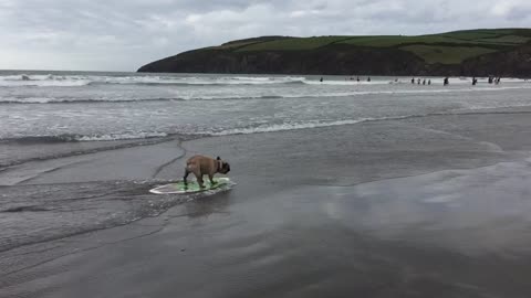 Erocdog Skimboarding, Newport Sands