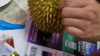 Trying Durian