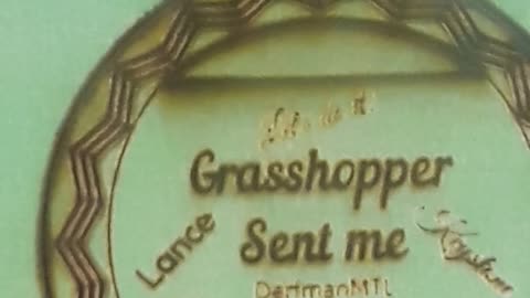 Grasshopper sent me