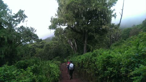 Kilimanjaro 2016: Another Bucket List Item Completed!