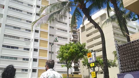 Bustop in waikiki, 2021