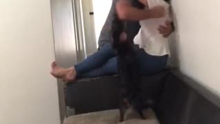 Dog Gets Super Jealous When Owners Exclude Him From A Hug