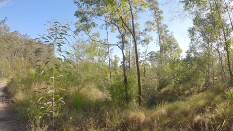 BOWRAVILLE TO URUNGA RIDE | ABANDONED MINE VISIT