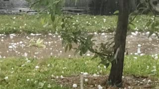 April Showers in Texas Part 4
