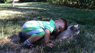 Patient cat endures toddler's affection