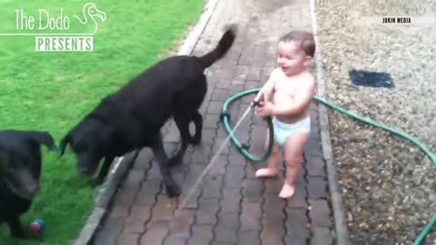 baby and Dog funny moment