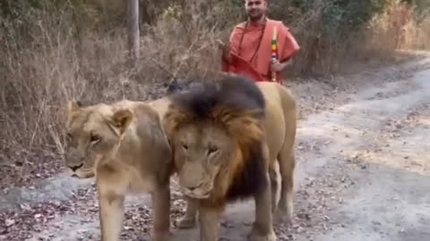 Dev Swami at South Africa 🇿🇦 in Jungle Lion 🦁