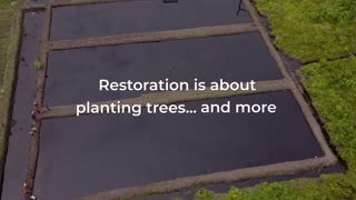 Generation Restoration