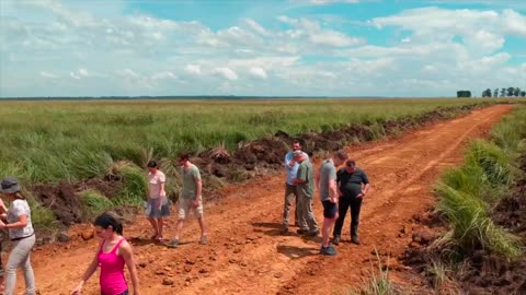 Welcome Spring - Frühlingsbeginn im El Paraiso Verde [Paraguay]