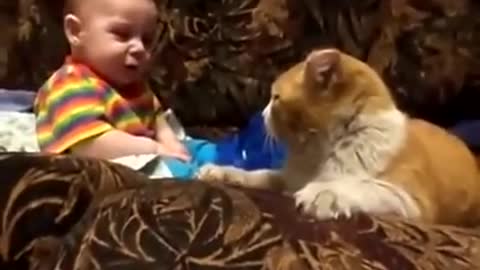 cat plays and headbutts baby