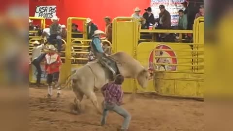 Look at these rodeo pedestrians, they're just crazy to laugh