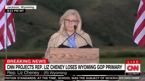 Liz Cheney: "Abraham Lincoln was defeated in elections for the Senate and House before he won..."