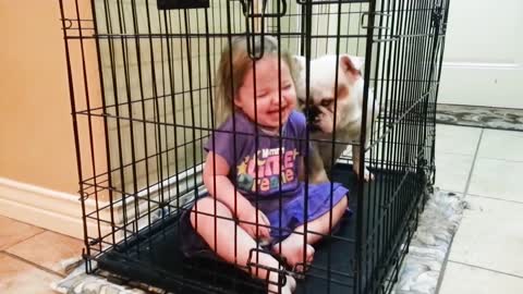 Best Friends of Dogs and Cute Babies - Babysitting Videos for Dogs