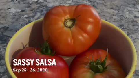 Sassy Salsa