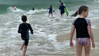 Shovelnose Shark on Moreton Island