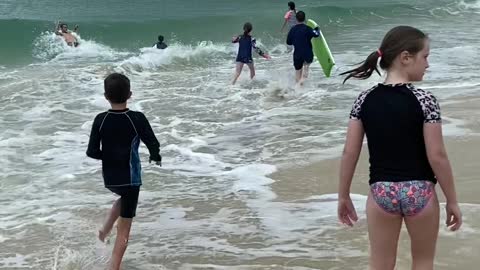 Shovelnose Shark on Moreton Island