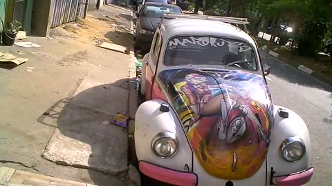 pink beetle