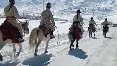 Horse riding at zanskar ladakh