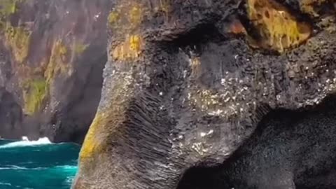 Elephant rock video