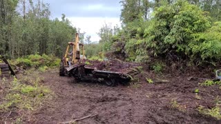Homestead Land Clearing & Trash Removal