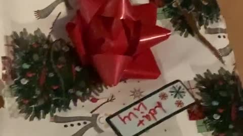 Cheeky Dog Opens Christmas Present Early