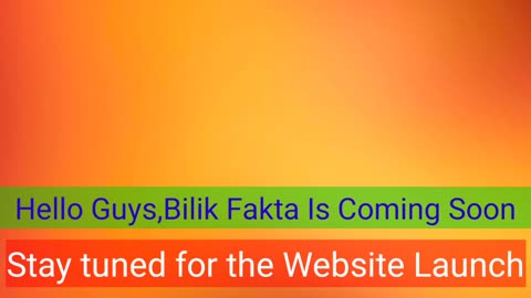 Bilik Fakta Website!