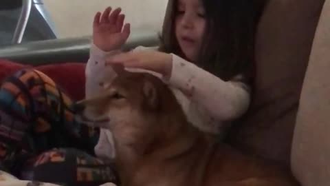 Little girl loves her Shiba Inu very much