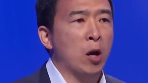 Andrew Yang Gives New York a Rare Bit of Sanity