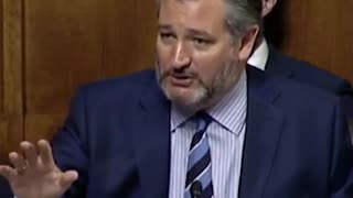 Savage Ted Cruz Blows Up Senate Hearing by Turning Tables on Disingenuous Democrats