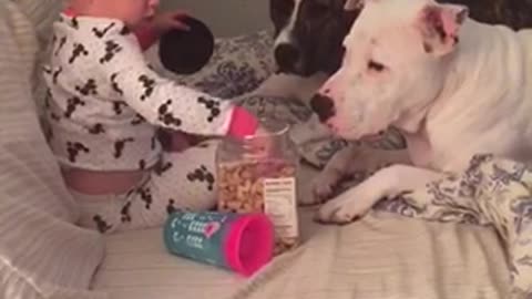 Mackenzie feeding her dogs