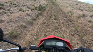 Dirt Biker Saves Abandoned Kittens