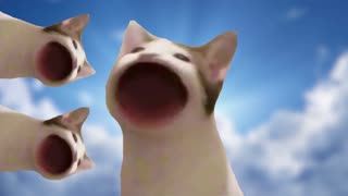 pop cat meme