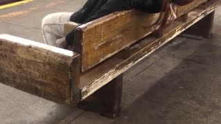 Leopard headband person asleep on bench subway chair