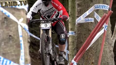 Downhill Mountain Biking Freedom