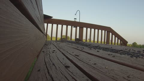 Up close! Birds come to eat seed in Central Nebraska