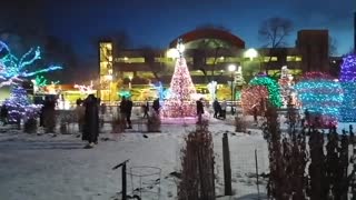 Red Deer City Hall 2020 Christmas Carolling