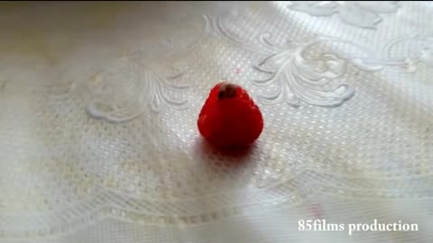 Snail on Raspberry / Улитка на малинке