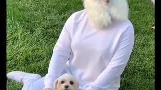 Dog owner wears creepy mask for Halloween