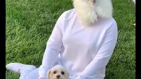 Dog owner wears creepy mask for Halloween