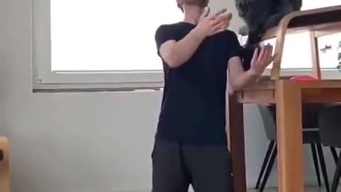 A trust given by a dog to his owner