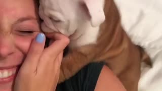 Puppy Demands Owner To Pay Attention To Him