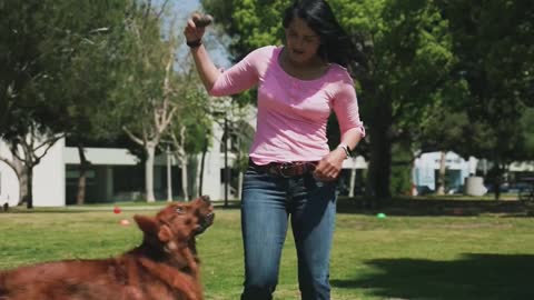 Woman playing with dog having fun