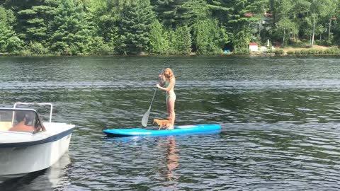 Summer fun on paddleboard with dog