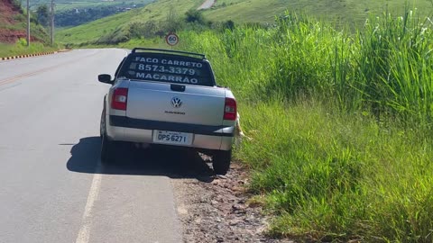 Car Abandoning Dog on Road