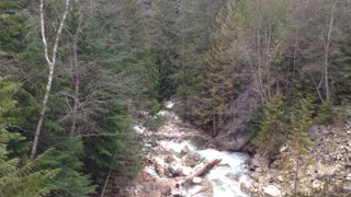 Stream Flowing Looking up River