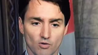 Justin Trudeau’s left eyebrow detached after meeting Trump
