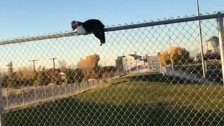 Cat Straddling Fence Freed From Suffocating Snack