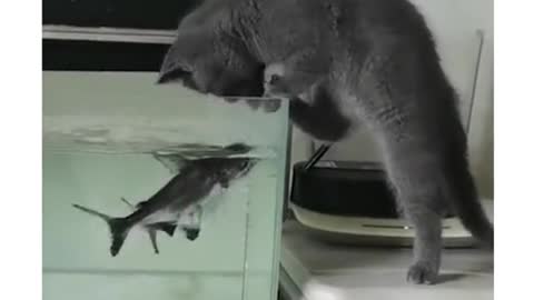 I’m embarrassed to be bitten by a fish